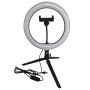Polux SELFIE 327604 Schreibtischlampe 1x10W/LED 2700K-4000K-6000K 240lm IP20