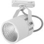 TK Lighting TRACER 4144 Schienenstrahler 1x10W/LED