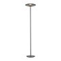 Paul Neuhaus PURE VITRUM 481-15 Stehleuchte 2x14,2W/LED 2700K 500lm IP20