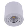 Prezent ALMAN I. 48606 Aufbau-Downlight 1x50W/GU10 IP20