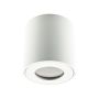 Prezent ALMAN IP I. 48620 Aufbau-Downlight 1x35W/GU10 IP20