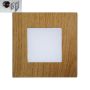 Prezent STEP LIGHT 48307 Einbau-Treppenleuchte 1x1W/LED 60lm IP20