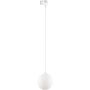 TK Lighting TRACER 4886 Schienenstrahler 1x8W/G9 IP20