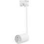 TK Lighting TRACER 4888 Schienenstrahler 1x10W/GU10 IP20