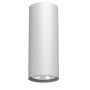 Antigo Point 1251 Aufbau-Downlight 1x10W/GU10 IP20