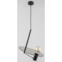 Alfa CG 02 60749 Pendelleuchte 1x60W/E27