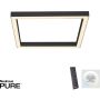 Paul Neuhaus PURE-LINES 6022-13 Deckenlampe 1x29W/LED 2700-5000k 2500lm ip20
