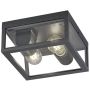Trio GARONNE 601860242 Deckenlampe 2x10w/e27 ip44