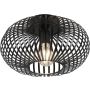 Trio JOHANN 606903032 Deckenlampe 1x60w/e27 ip20