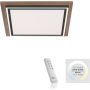Paul Neuhaus PALMA 6141-79 Deckenlampe 2x50W/LED 2700-5000k 5100lm ip20
