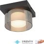 Paul Neuhaus RIKA 6162-18 Deckenlampe 1x6W/LED 3000k 680lm ip20