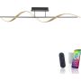 Paul Neuhaus Q-SWING 6385-13 Deckenlampe 1x28W/LED 2700-5000k 3100lm ip20