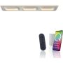 Paul Neuhaus Q-KALINA 6505-16 Deckenlampe 1x61W/LED 2700-5000k 6700lm ip20