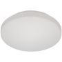 Prezent PARE GLASS FOR PILLS 67103,107,112,116 67103 NS Lampenschirm
