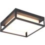 Trio WITHAM 677860142 Deckenlampe 1x14w/led 2300+3000+4000k 1550lm ip54