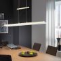 Fischer&Honsel Roof 60563 Pendelleuchte 1x29W/LED 2700K 3300 lm IP20