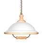 Prezent ACRYL WOOD 73006 W50 Pendelleuchte 1x60W/E27 IP20