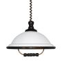 Prezent ACRYL WOOD 73006 W52 Pendelleuchte 1x60W/E27 IP20
