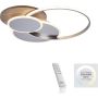 Paul Neuhaus PALMA 8328-79 Deckenlampe 1x55W/LED 2700-5000k 6000lm ip20