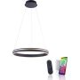 Paul Neuhaus Q-VITO 8411-13 Pendelleuchte 1x44W/LED 2700-5000k 4550lm ip20