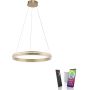 Paul Neuhaus Q-VITO 8411-60 Pendelleuchte 1x44W/LED 2700-5000k 4550lm ip20