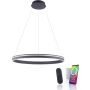 Paul Neuhaus Q-VITO 8412-13 Pendelleuchte 1x65W/LED 2700-5000k 7000lm ip20