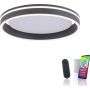 Paul Neuhaus Q-VITO 8414-13 Deckenlampe 1x33W/LED 2700-5000k 3250lm ip20
