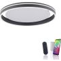 Paul Neuhaus Q-VITO 8416-13 Deckenlampe 1x44W/LED 2700-5000k 4570lm ip20