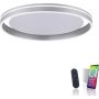 Paul Neuhaus Q-VITO 8416-55 Deckenlampe 1x44W/LED 2700-5000k 4570lm ip20