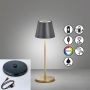 Fischer&Honsel Cosenza 850338 Tischleuchte 2x2W/LED RGBW 180lm IP44