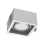 Antigo Cage 3273 Einbau-Downlight 1x15W/Gu10 IP20