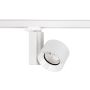 Nowodvorski CTLS NEA LED 40W 4000K 8747 Schienenstrahler 1x40W/LED 4000K 3600LM IP20