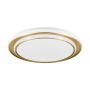 Eglo MOSCHETTA 902045 Deckenleuchte 36W/LED 2700K, 4000K, 6500K 4800lm ip20