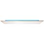 Brilliant MARKUS G99629/68 Deckenleuchte 1x52W/LED 6600LM IP20
