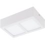 Eglo COLEGIO 95201 Deckenleuchte 2x4,2W/LED 1100LM