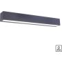 Paul Neuhaus ROBERT 9676-13 Wandleuchte 1x36W/LED 3000k 4690lm ip65