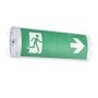 Endon SIGHT PLUS 97817 Notleuchte 3W 6500K IP65