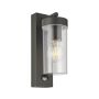 Endon HAYDEN PIR 99756 Wandleuchte 15W/E27 IP44