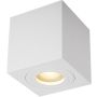 Zuma Line QUARDIP ACGU10-160 Aufbau-Downlight 1x50W/GU10 IP44