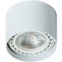 AZzardo ECO ALIX SMART WIFI AZ3770 Aufbau-Downlight 1x11W/GU10/ES111 2700K-6500K 880LM IP20