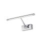 AZzardo MONALISA AZ2641 Bildleuchte 1x5W/LED 3000K 200LM IP20