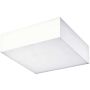 AZzardo MONZA II S 17 SMART WIFI AZ3260 Deckenleuchte 1x18W/LED 4000K 1530LM IP20