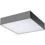 AZzardo MONZA II S 30 SMART WIFI AZ3267 Deckenleuchte 1x36W/LED 4000K 3060LM IP20