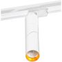 AZzardo SANTOS TRACK AZ2925 Schienenstrahler 1x12W/LED 950LM