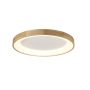 AZzardo SILVAM AZ2698 Deckenleuchte 1x50W/LED 3250LM