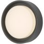 Dar Lighting RALPH RAL5239 Wandleuchte 1x9W/LED 3000K 626LM IP65
