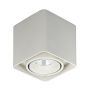 Italux BONNIE SLC78004/10W WH Aufbau-Downlight 1x10W/LED 840LM IP20