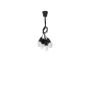 Sollux DIEGO SL.0574 Pendelleuchte 5x60W/E27 IP20
