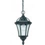 Endon DRAYTON YG-3503 Pendelleuchte 1x60W/E27 IP44