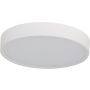 Azzardo PANDINO AZ6589 Deckenleuchte 1x24w/led 2800k/4000k/6000k ip44